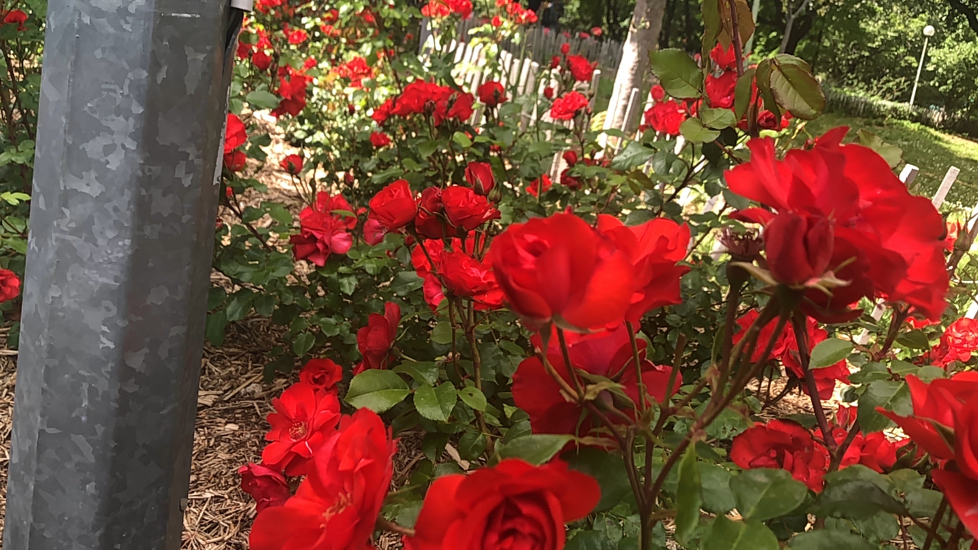 Photo n° 2 de l'avis de Sambassa.y fait le 25/05/2021 à 09:58