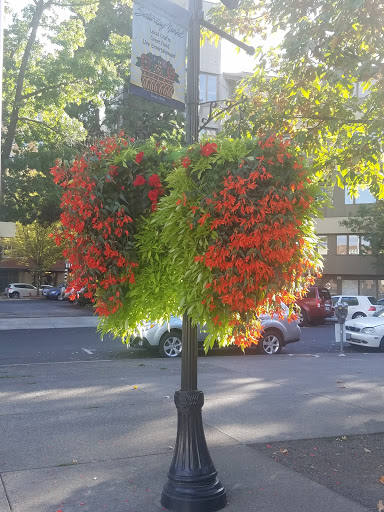 Live Music Venue «HiFi Music Hall», reviews and photos, 44 E 7th Ave, Eugene, OR 97402, USA