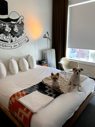 Hotel «Ace Hotel, Seattle», reviews and photos, 2423 1st Ave, Seattle, WA 98121, USA