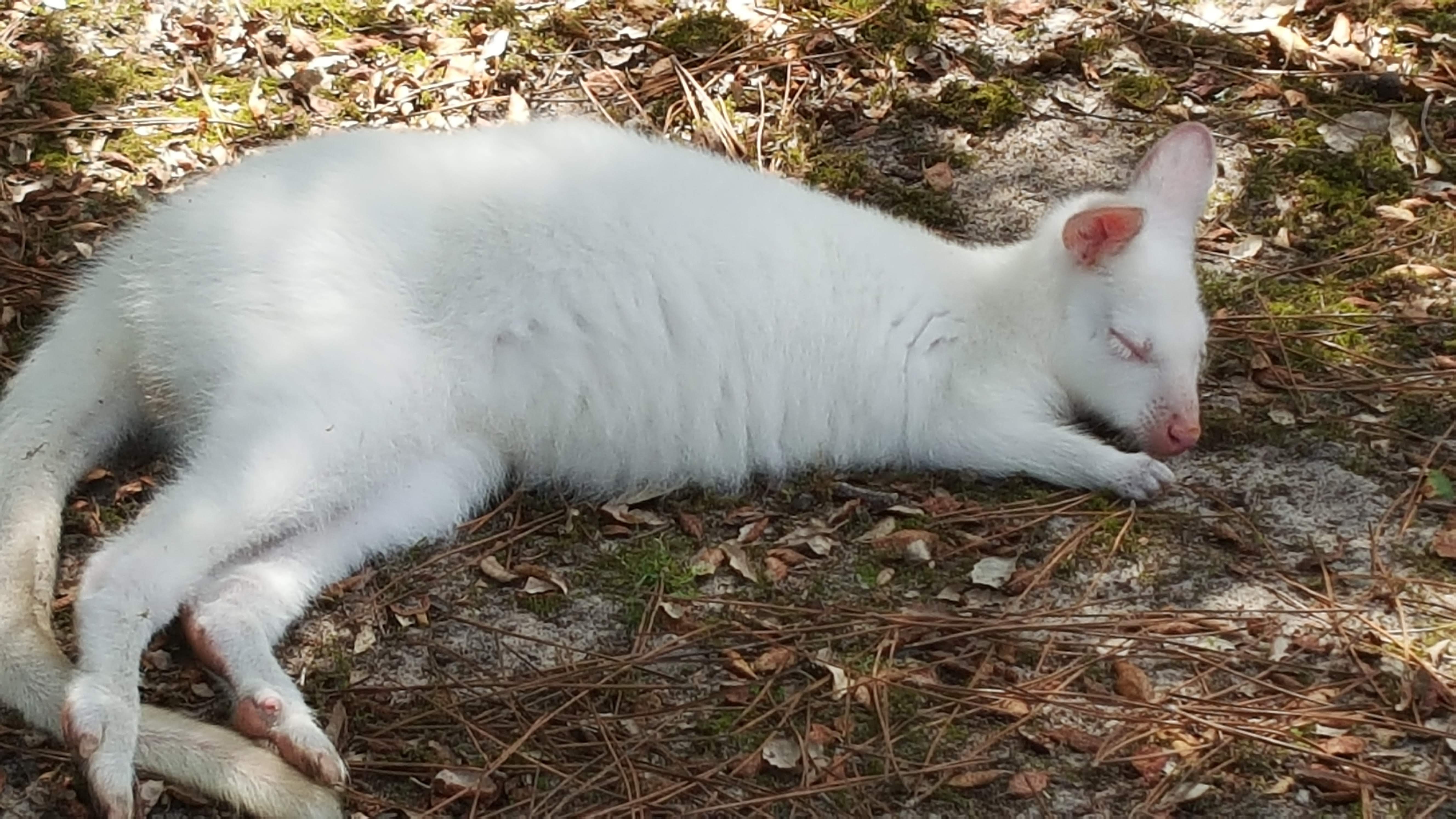 Photo n° 5 de l'avis de Malou.r fait le 19/08/2018 à 17:09