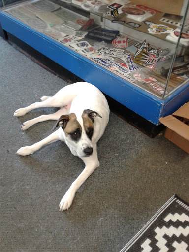 Motorcycle Shop «Strictly Dirt Inc», reviews and photos, 309 Albany Turnpike, Canton, CT 06019, USA