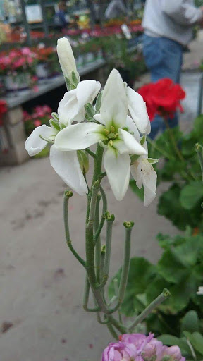 Home Improvement Store «The Home Depot», reviews and photos, 1255 Ten Rod Rd, North Kingstown, RI 02852, USA