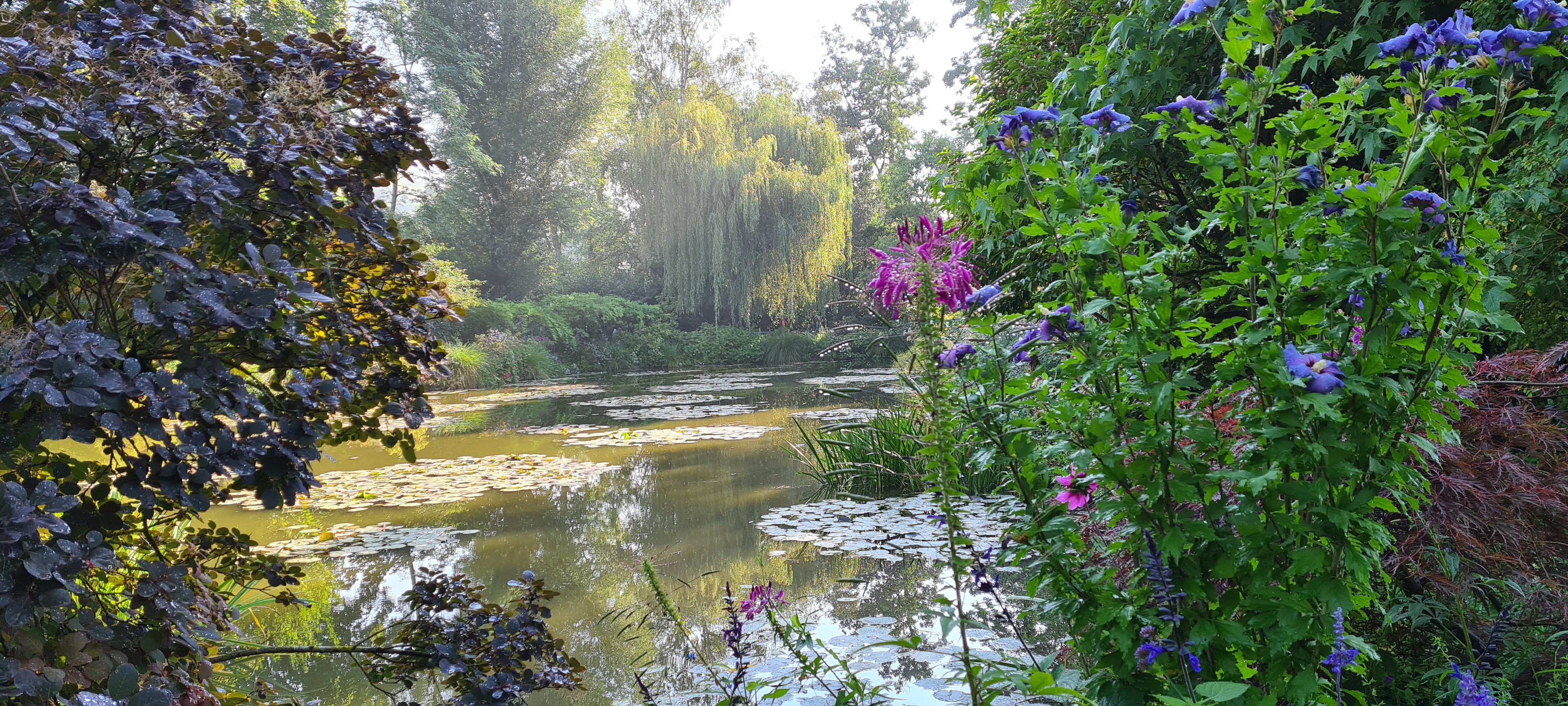 Photo n° 28 de l'avis de Gilles.o fait le 10/09/2021 à 06:37