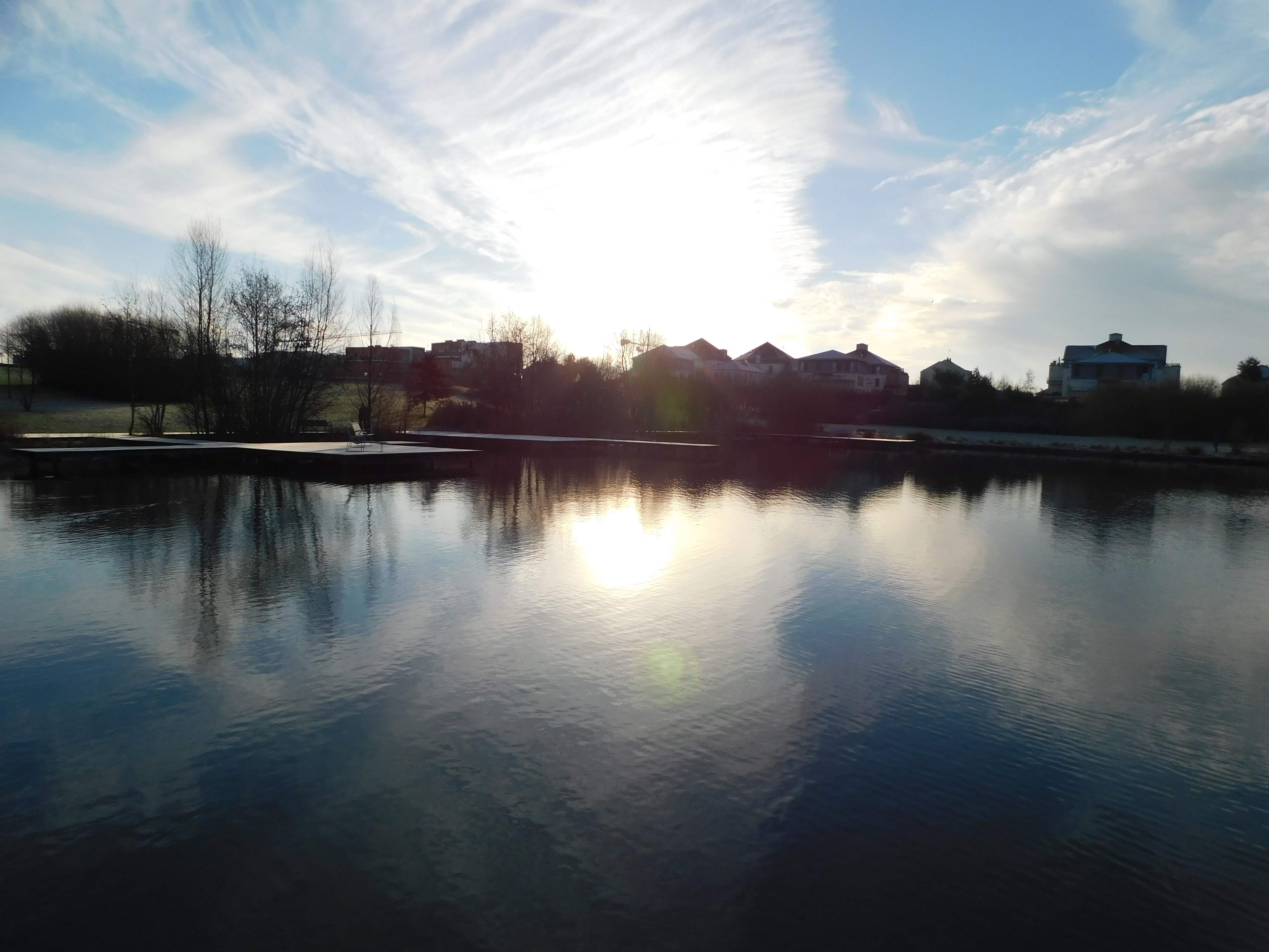 Photo n° 1 de l'avis de Laetibiscus.� fait le 30/01/2019 à 11:24