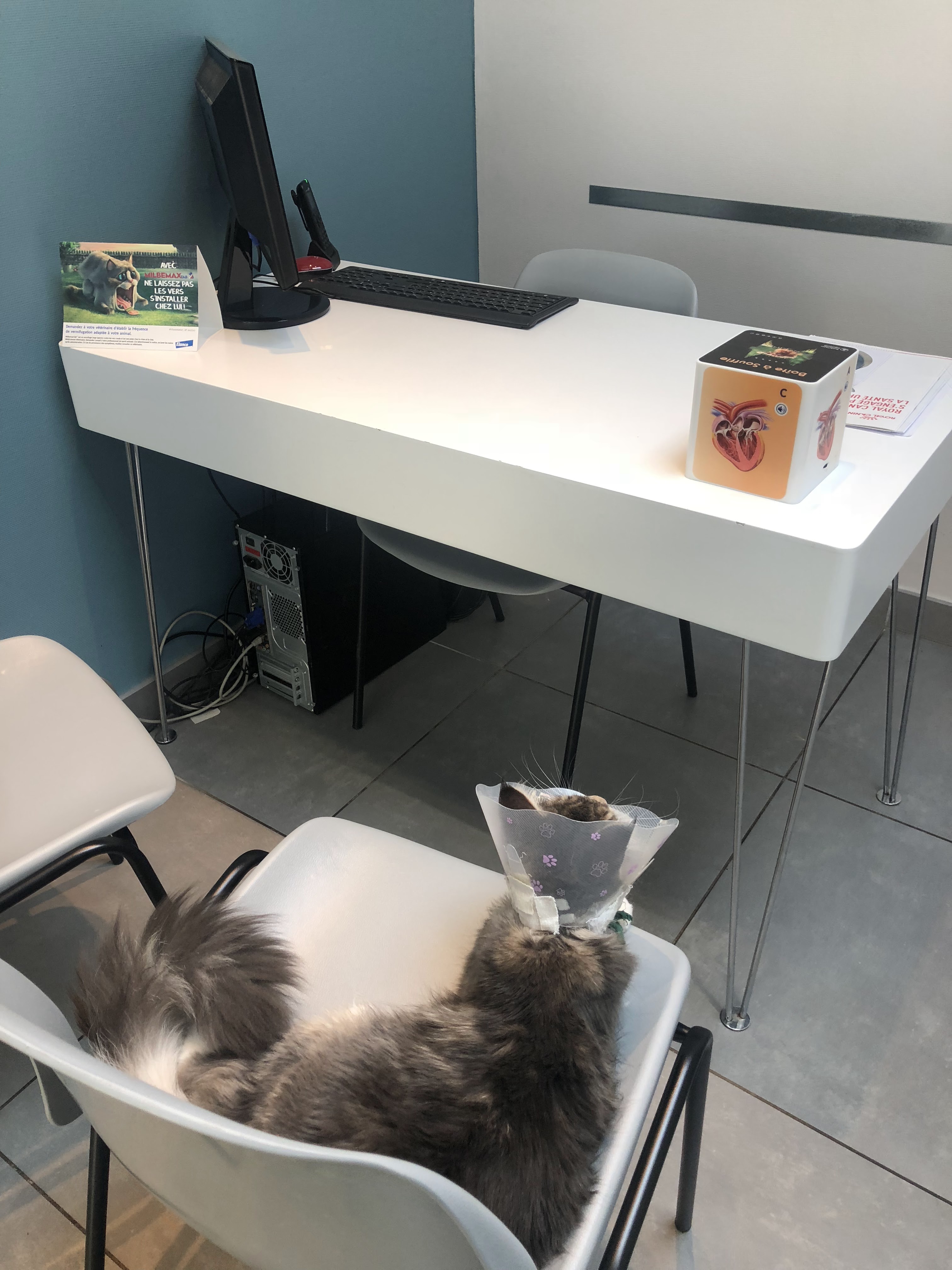 Photo n° 2 de l'avis de Alison.R fait le 28/11/2018 à 07:20
