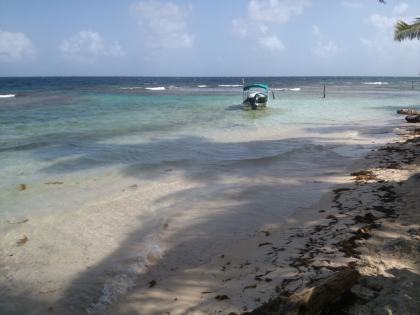 Foto van Iguana island beach - populaire plek onder ontspanningskenners