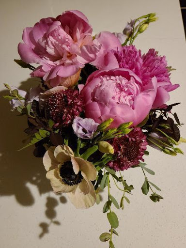 Plant Nursery «Sturtz & Copeland Florist & Greenhouses», reviews and photos, 2851 Valmont Rd, Boulder, CO 80301, USA