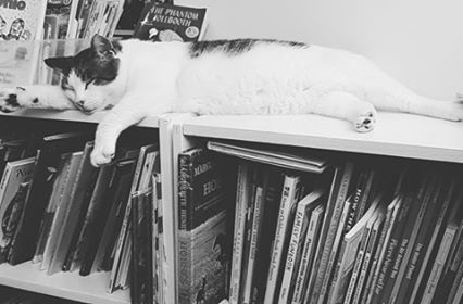 Book Store «Paperback Exchange», reviews and photos, 201 W Main St, Lancaster, OH 43130, USA