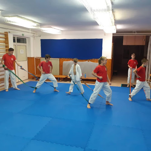 Veresi Karate Sportegyesület - Veresegyház