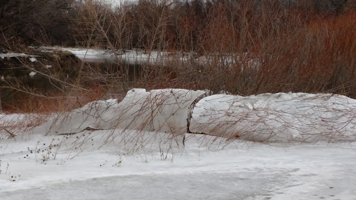 Golf Course «El Zagal Par 3 Golf Course», reviews and photos, 1400 Elm St N, Fargo, ND 58103, USA