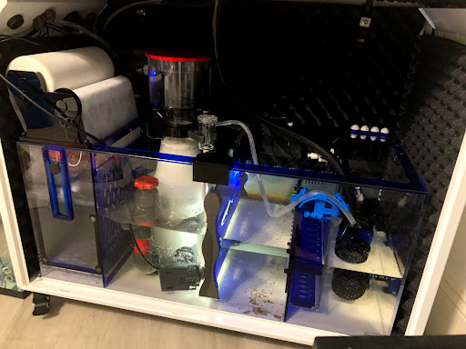 Tropical Fish Store «Hooked On Reefs», reviews and photos, 228 Hibiscus St #1, Jupiter, FL 33458, USA