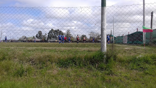 Opiniones de Centro Social Unión y Deportivo Joaquín Suárez en Canelones - Campo de fútbol