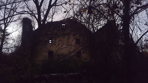 Park «Teegarden Park», reviews and photos, 440 Old State Rd, Berwyn, PA 19312, USA