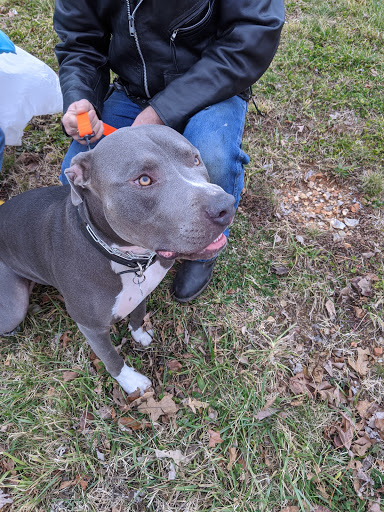 Pet Supply Store «All Pet & Equine Supply», reviews and photos, 1120 Porter Wagoner Blvd, West Plains, MO 65775, USA