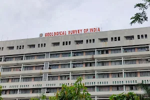 Geological Survey of India image