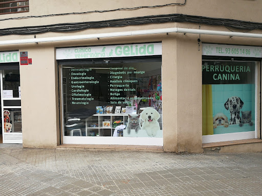 Clínica Veterinària Gelida en Gelida, Barcelona