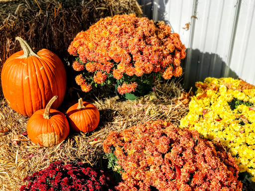 Grocery Store «Giant Food Stores», reviews and photos, 7150 Hamilton Blvd, Trexlertown, PA 18087, USA