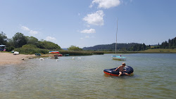 Plage des Perrieres'in fotoğrafı geniş bir kıyı şeridi ile birlikte