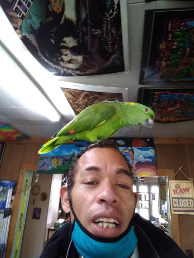 Boutique «Su Casa Boutique», reviews and photos, 1041 N Cedar St, Lansing, MI 48906, USA