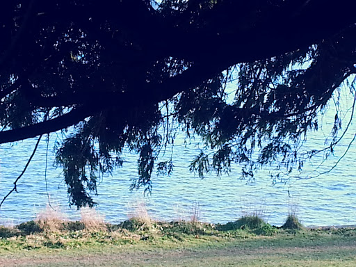 Park «Madrona Park», reviews and photos, 853 Lake Washington Blvd, Seattle, WA 98122, USA