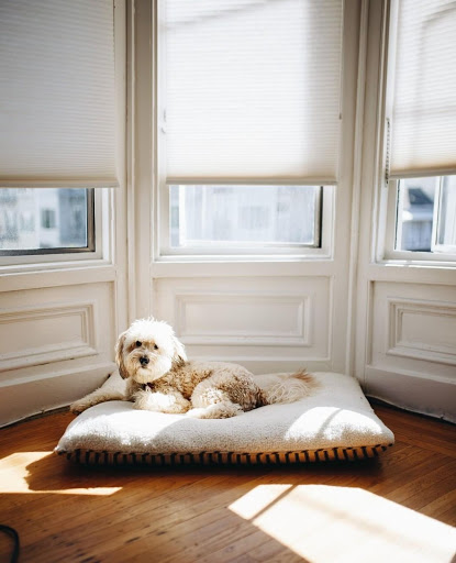 House Cleaning Service «Wave House Cleaning», reviews and photos, 3923 N 30th Ave, Phoenix, AZ 85017, USA