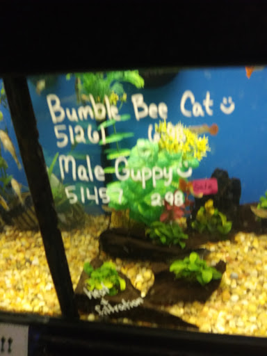 Pet Supply Store «Pet Supplies Plus», reviews and photos, 1816 S Stephenson Ave, Iron Mountain, MI 49801, USA