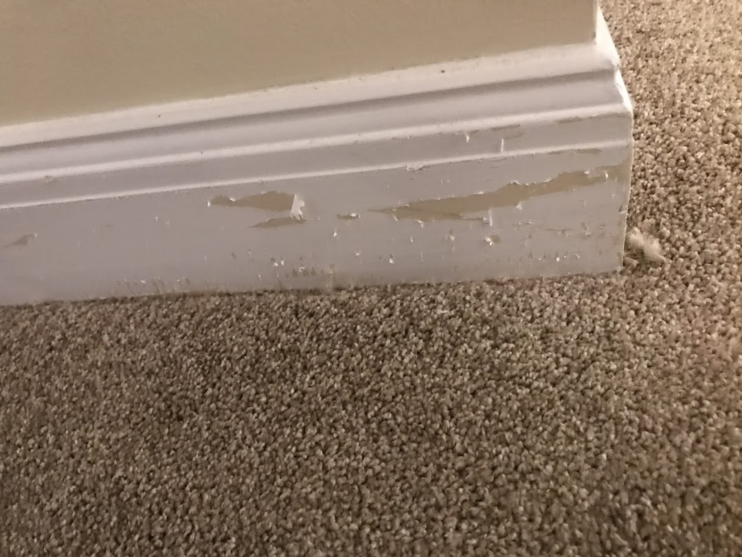 US Installation Group Inc