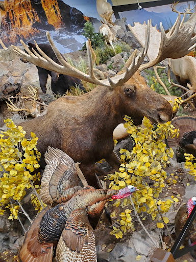 Outdoor Sports Store «Field & Stream», reviews and photos, 5215 Century Ave, Kalamazoo, MI 49006, USA