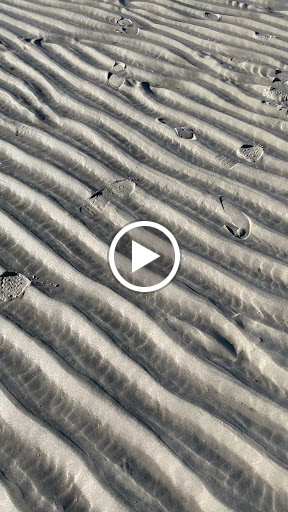 Park «Dorchester Shores Reservation Victory Road Park», reviews and photos, Victory Rd, Dorchester, MA 02122, USA