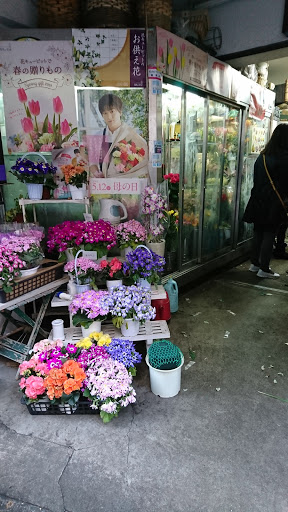 Ishikawa Raw Artificial Flower Shop