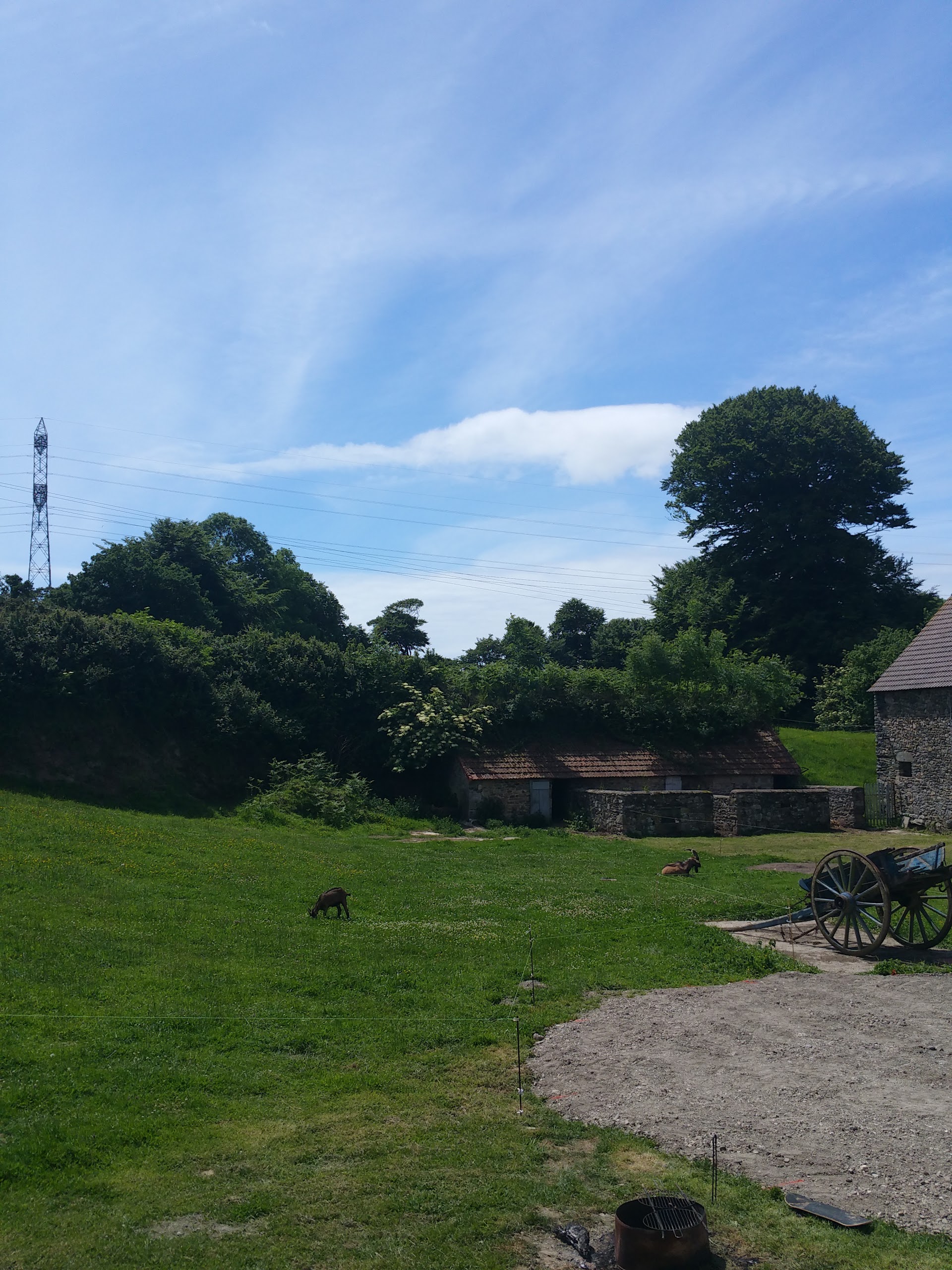 Photo n° 1 de l'avis de Hans.e fait le 04/06/2017 à 12:52