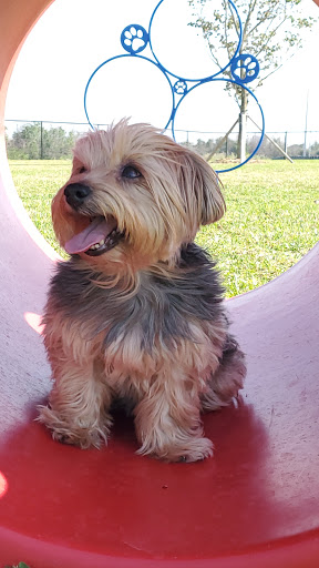 Park «Miramar Regional Park», reviews and photos, 16801 Miramar Pkwy, Miramar, FL 33027, USA