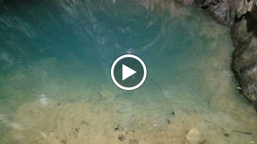 Museum «Sterling Hill Mining Museum», reviews and photos, 30 Plant St, Ogdensburg, NJ 07439, USA