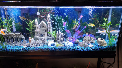 Pet Supply Store «Petco Animal Supplies», reviews and photos, 430 N Euclid St, Anaheim, CA 92801, USA