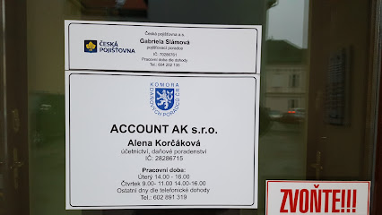 Daňový Poradce Korčáková Alena