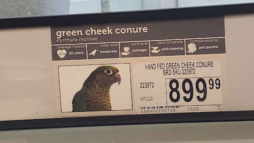 Pet Supply Store «Petco Animal Supplies», reviews and photos, 390 Universal Dr N, North Haven, CT 06473, USA