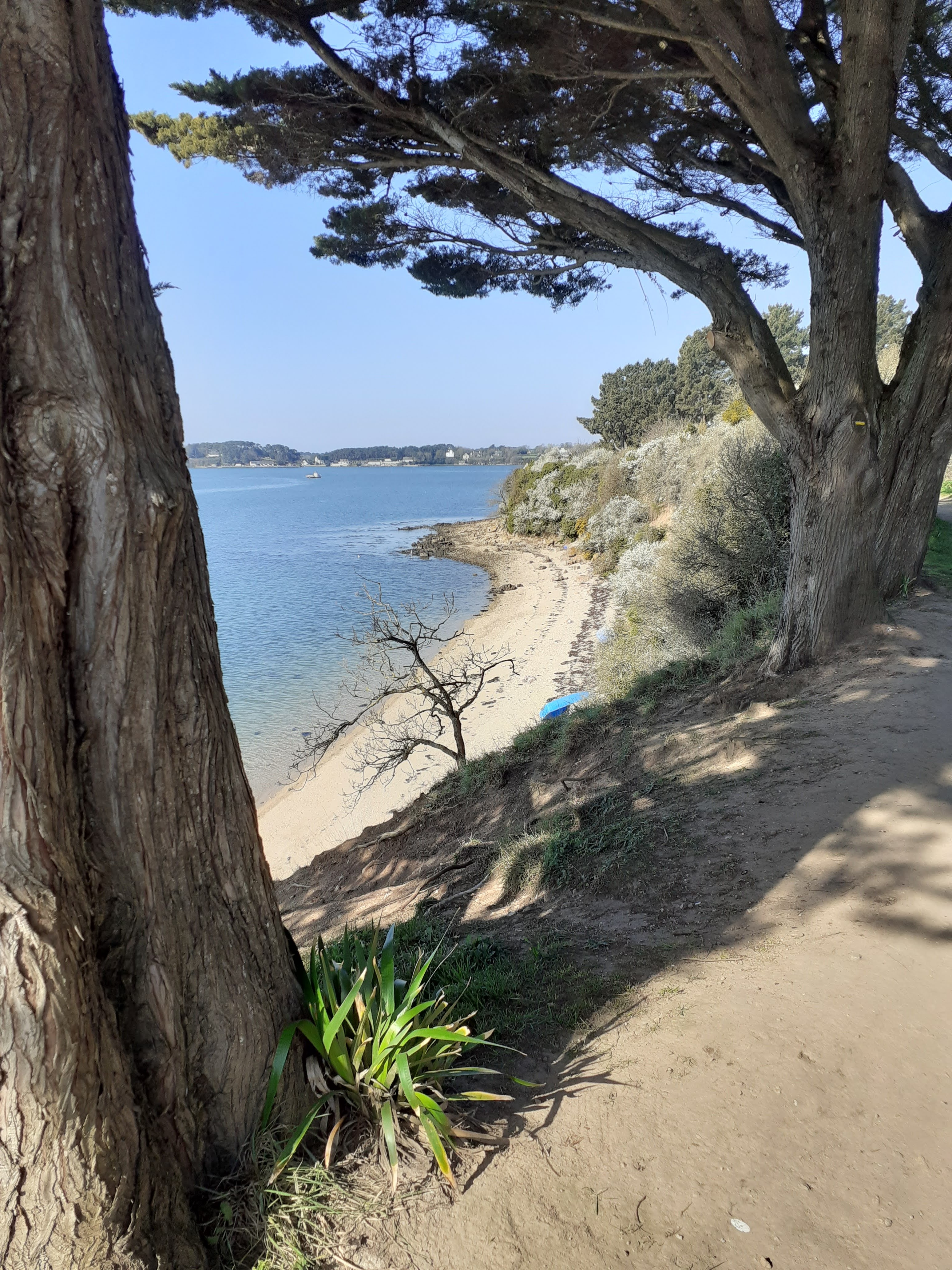 Photo n° 1 de l'avis de Breizh.b fait le 24/03/2022 à 12:24