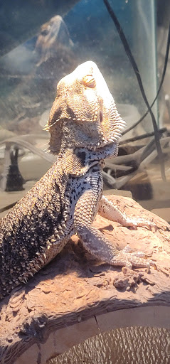 HVAC Contractor «Bartholomew Heating & Cooling», reviews and photos