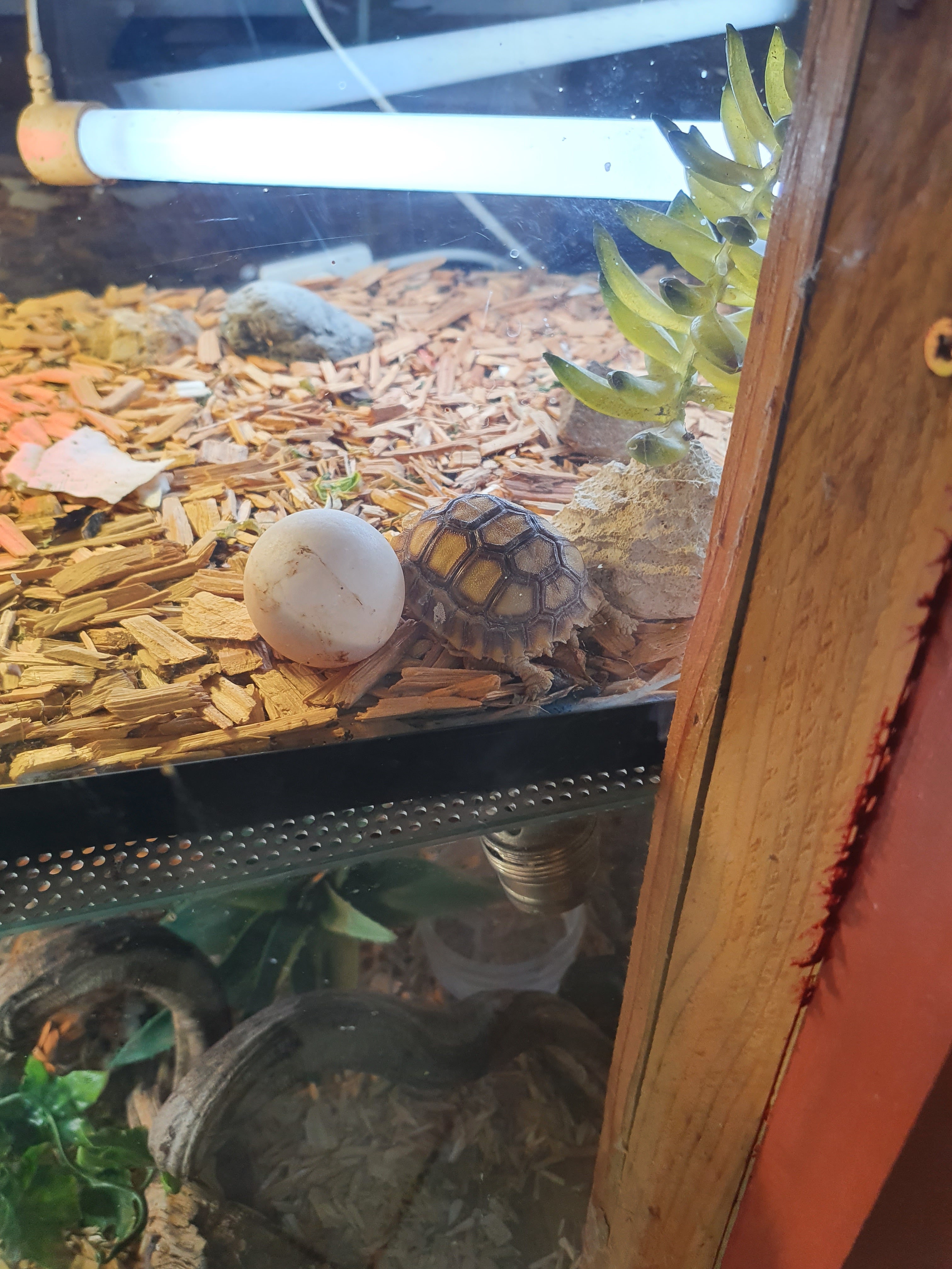 Photo n° 4 de l'avis de Fontes.o fait le 05/03/2022 à 12:26