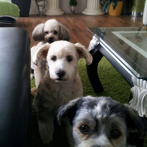 Mechthild Schmidt unter Herford, Nordrhein-Westfalen