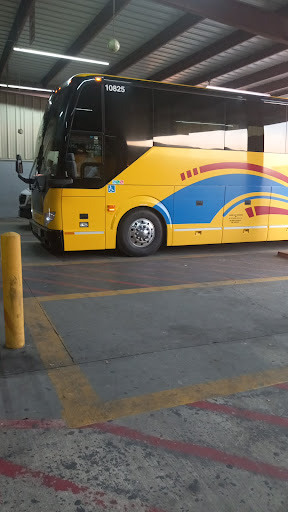 El Expreso Bus Company