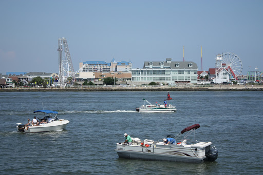 National Park «Assateague Island National Seashore», reviews and photos, 7206 National Seashore Ln, Berlin, MD 21811, USA
