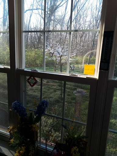 Water Park «Farmington Water Park», reviews and photos, 2 Black Knight Dr, Farmington, MO 63640, USA