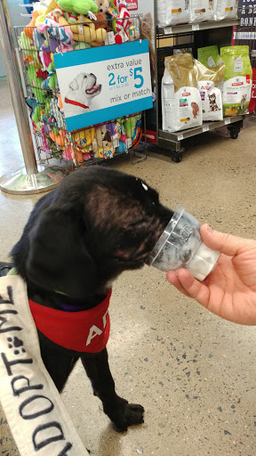 Shopping Mall «Bond Shopping Center», reviews and photos, 1891 S State Rd, Upper Darby, PA 19082, USA