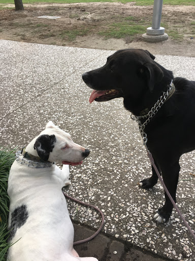 Water Park «Memorial Waterfront Park», reviews and photos, 99 Harry M. Hallman Jr Blvd, Mt Pleasant, SC 29464, USA