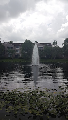 Park «Sunset Park», reviews and photos, 10600 Cleary Blvd, Plantation, FL 33324, USA