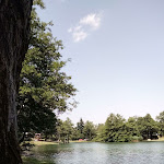 Photo n°16 de l'avis de Manuel. fait le 12/07/2023 à 18:18 sur le  Ristorante Lago Pontini Caminetto la Nella à Bagno di Romagna