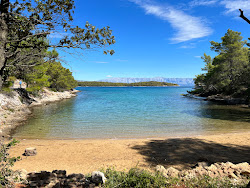Foto von Sandy Beach, Vitarnja wilde gegend
