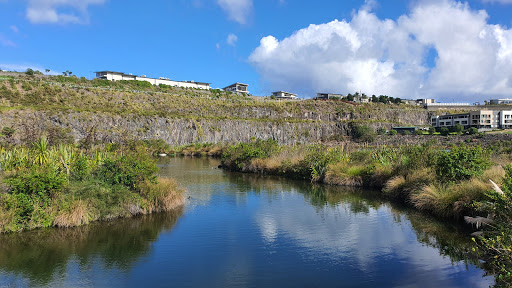 Stonefields Wetlands