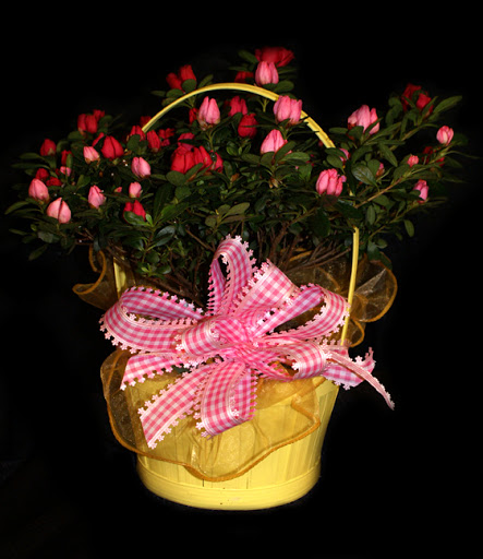 Event Planner «Savoir-Faire Event Planning», reviews and photos, 2309 W Market St, Akron, OH 44313, USA